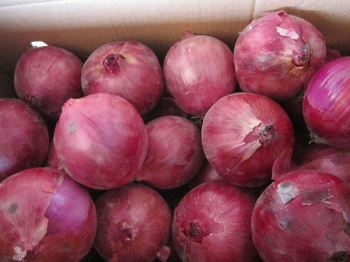 onion